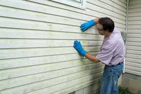 Best Vinyl Siding Installation  in Wendell, NC